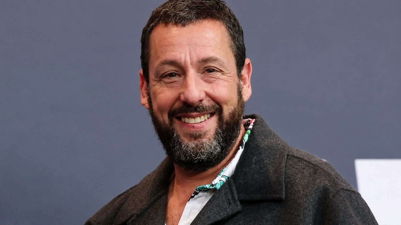 Adam Sandler Biography, Movies, Net Worth & Career Highlights (2026 Guide)